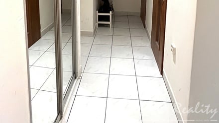 Pronájem bytu 1+1 36 m², Praha - Vršovice