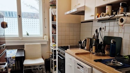 Pronájem bytu 1+1 36 m², Praha 3