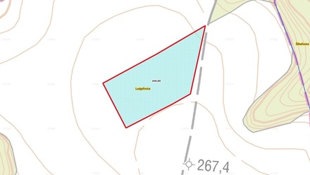 Prodej podílu 1/2 pole 10 011 m², Ludgeřovice