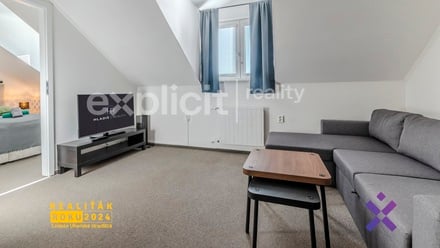Prodej nemovitosti pro ubytování 695 m², Uherský Brod