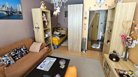 Pronájem bytu 1+kk 26 m², Frýdek
