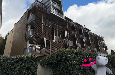 Prodej bytu 1+kk 38 m², Harrachov