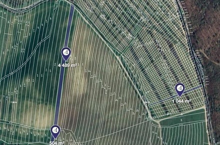 Prodej sadu / vinice 8 393 m², Nechvalín