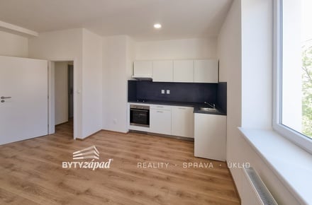 Pronájem bytu 1+kk 31 m², Plzeň - Jižní Předměstí
