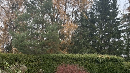 Pronájem zahrady 729 m², Postupice