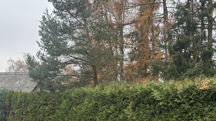 Pronájem zahrady 729 m², Postupice