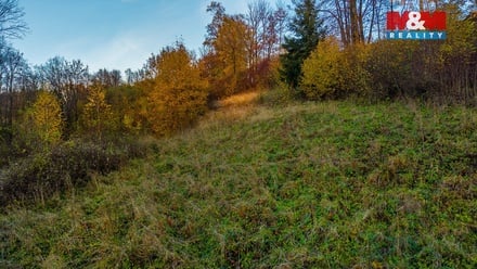 Prodej louky 6 046 m², Bílá