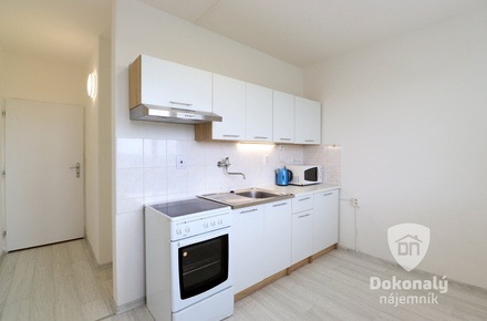 Pronájem bytu 2+1 62 m², Milovice - Mladá