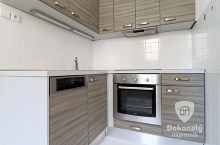 Pronájem bytu 2+1 70 m², Praha - Holešovice