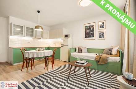 Pronájem bytu 1+kk 32 m², Rakovník II