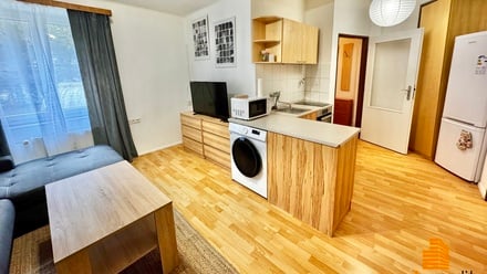 Pronájem bytu 1+kk 29 m², Ústí nad Labem - Střekov