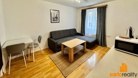 Pronájem bytu 1+kk 29 m², Ústí nad Labem - Střekov