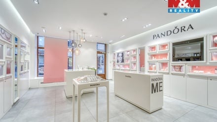 Pronájem obchodního prostoru 116 m², Plzeň 3