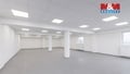 Pronájem kanceláře 210 m², Louny
