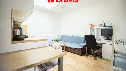 Prodej bytu 1+kk 33 m², Brno - Trnitá