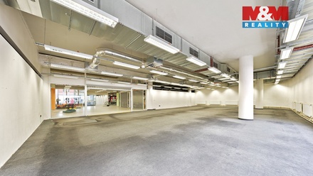 Pronájem obchodního prostoru 230 m², Děčín
