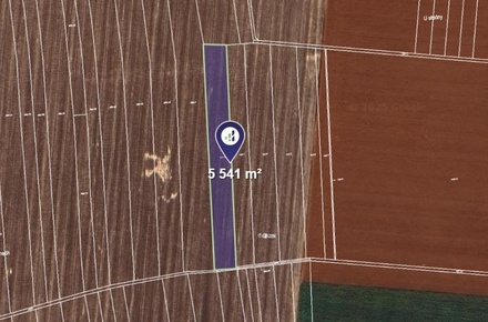 Prodej podílu 1/4 pole 1 385 m², Drahanovice