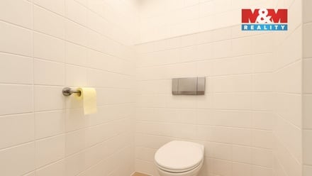 Pronájem obchodního prostoru 45 m², Praha 1