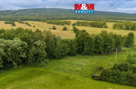 Prodej louky 4 178 m², Dětřichov