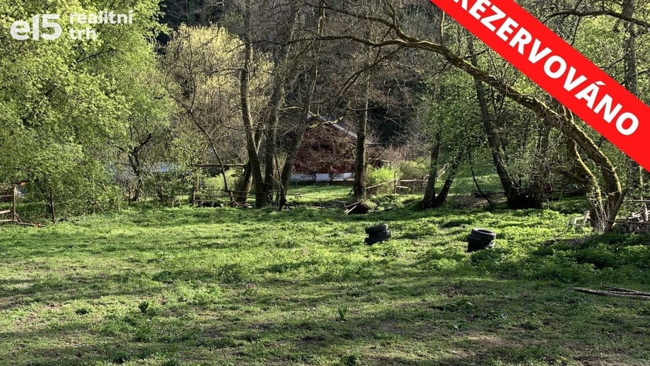 Prodej pozemky - trvalý travní porost, 3 723 m² - Malé Kyšice
