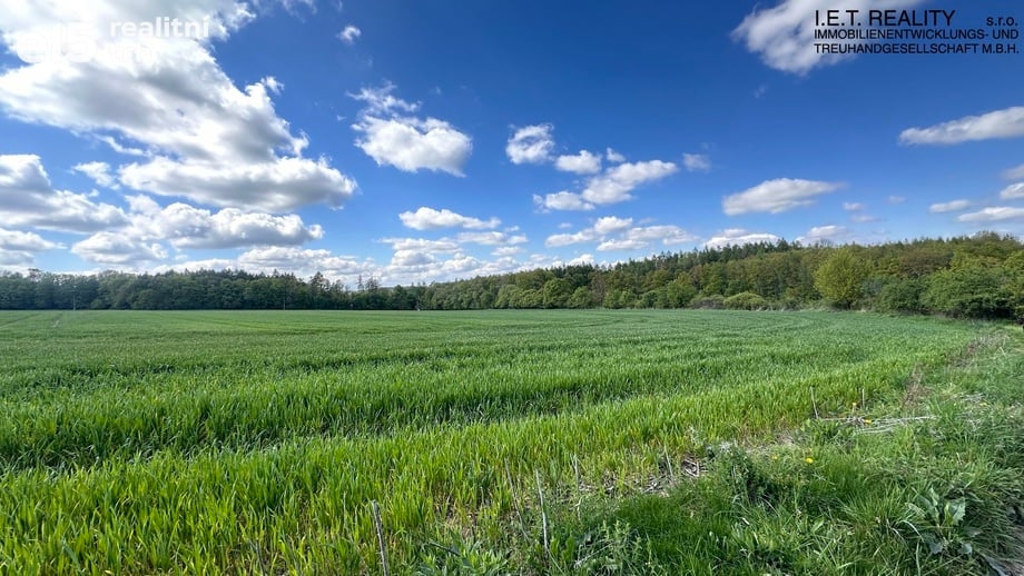 Prodej pozemky pro bydlení, 900 m² - Vranov nad Dyjí