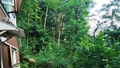Prodej chaty 58 m², Kanice