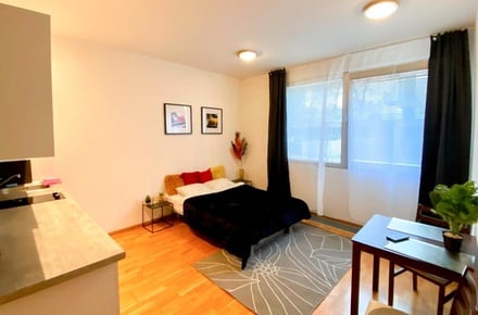 Pronájem bytu 1+kk 30 m², Praha 10, Vinohrady