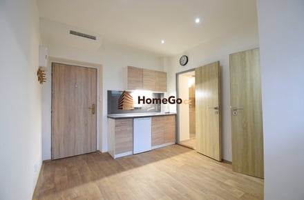 Pronájem bytu 1+kk 10 m², Praha - Hostivař