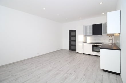 Prodej bytu 2+kk 52 m², Praha - Nusle