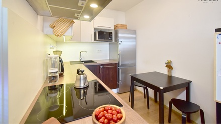 Pronájem bytu 2+kk 49 m², Brno - Slatina