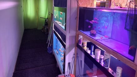 Prodej rodinného domu 73 m², Vlkoš