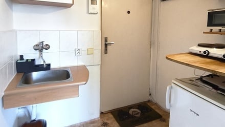 Pronájem bytu 1+kk 19 m², Brno - Staré Brno