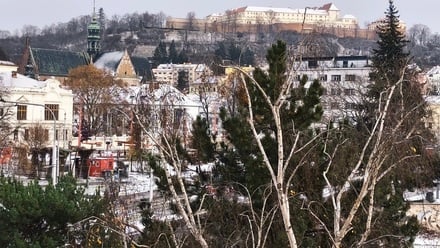 Pronájem bytu 1+kk 19 m², Brno - Staré Brno