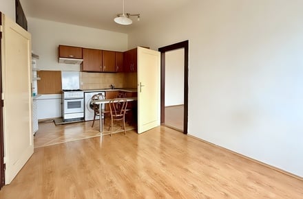 Prodej bytu 2+kk 44 m², Praha - Žižkov