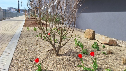 Pronájem garáže 12 m², Praha 9