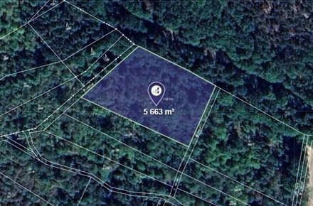 Prodej louky 5 663 m², Domoušice