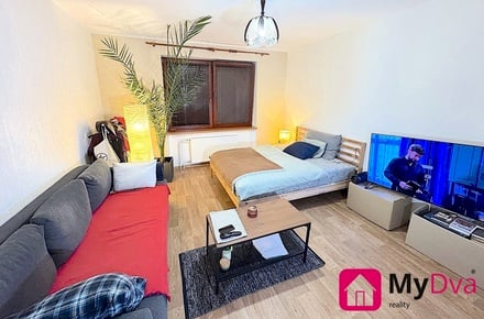 Pronájem bytu 1+kk 30 m², Dobšice