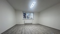 Pronájem bytu 2+1 55 m², Nelahozeves