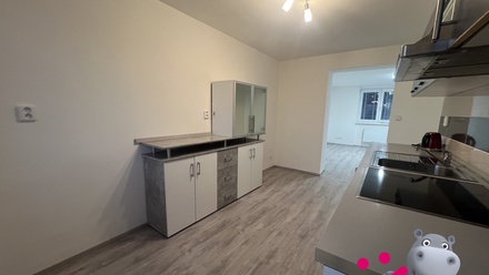 Pronájem bytu 2+1 55 m², Nelahozeves