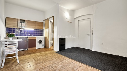 Pronájem bytu 1+kk 21 m², Ústí nad Labem