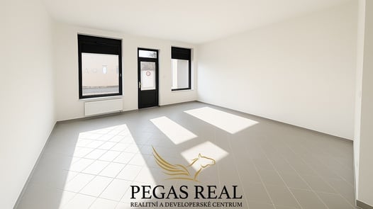 Prodej obchodního prostoru 55 m², Židlochovice