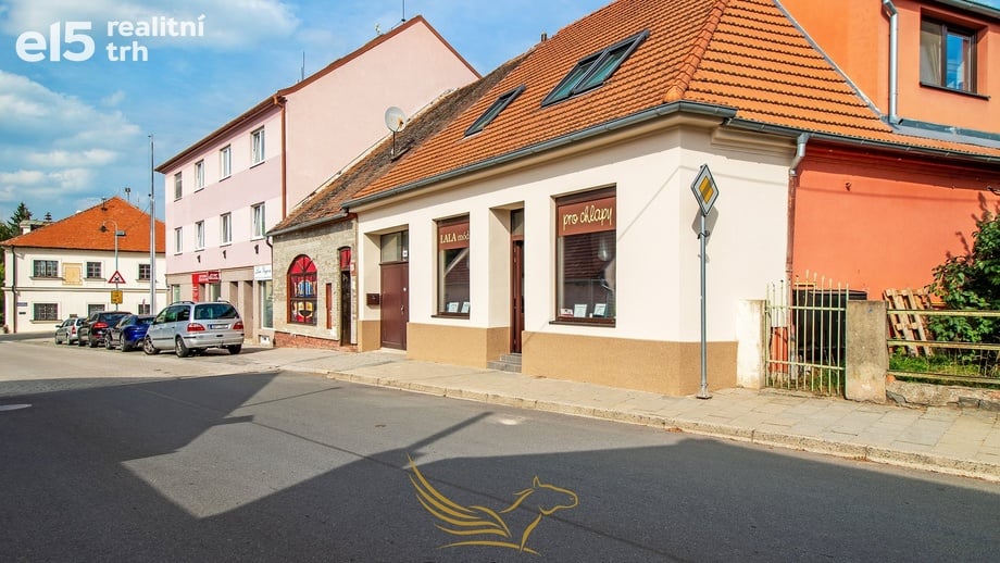 Prodej obchodního prostoru 55 m², Židlochovice