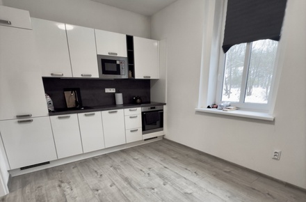 Pronájem bytu 1+1 45 m², Mělník