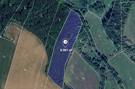 Prodej lesa 6 001 m², Vysoká