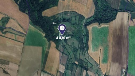 Prodej lesa 4 436 m², Vysoká