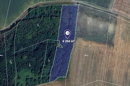 Prodej lesa 6 204 m², Vysoká