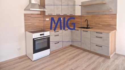 Pronájem bytu 2+kk 34 m², Brno - Veveří