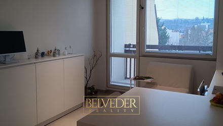 Pronájem bytu 1+kk 26 m², Teplice