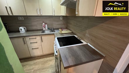 Pronájem bytu 1+1 48 m², Opava - Předměstí