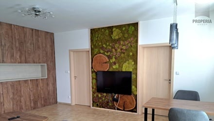 Pronájem bytu 3+kk 66 m², Brno
